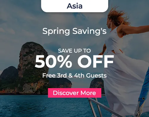 cruise line offer banner
